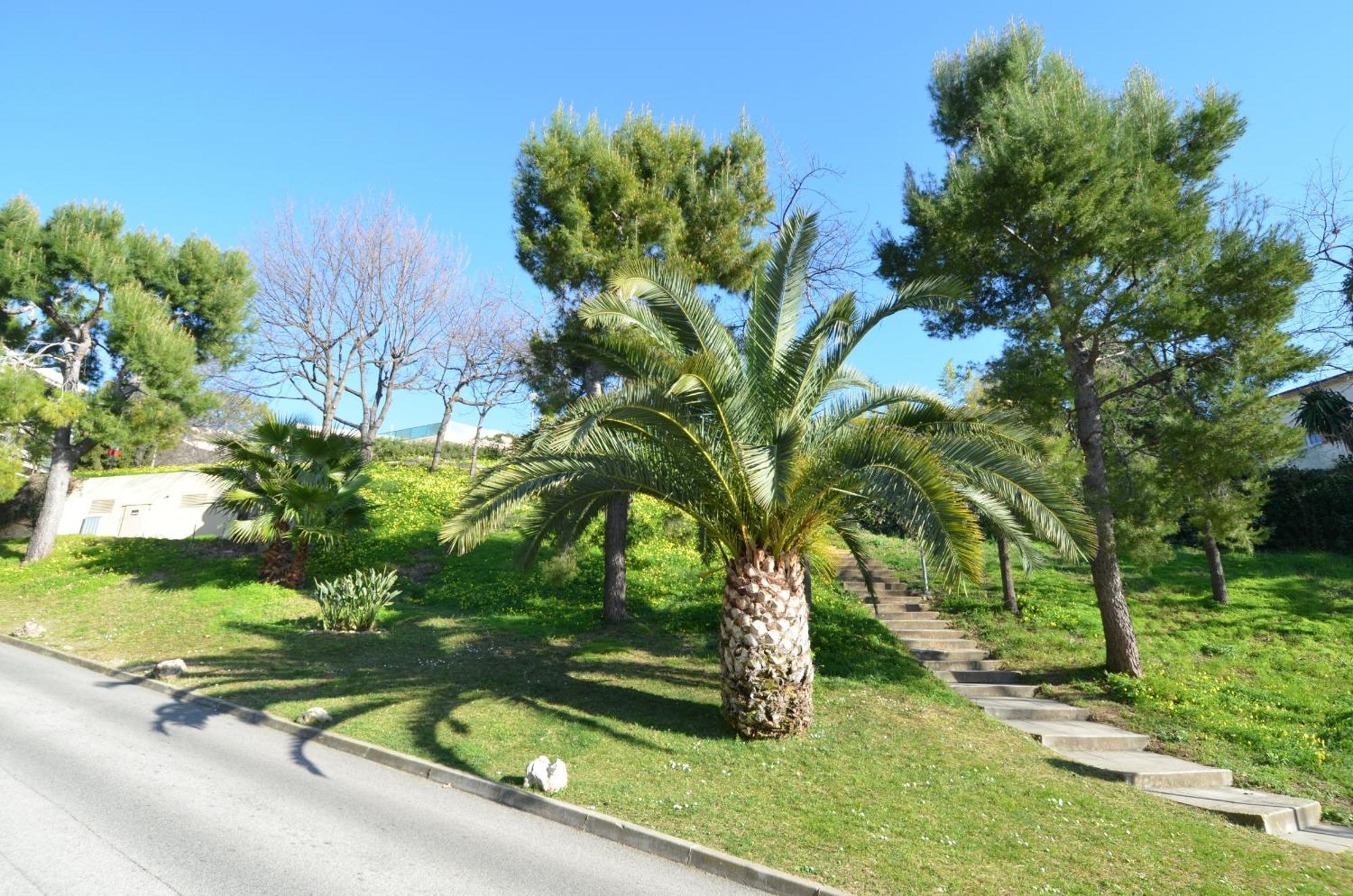 Plein Ciel - Appartement 5 Personnes Avec Piscine Sur La Corniche Fleurie A Nizza Kültér fotó